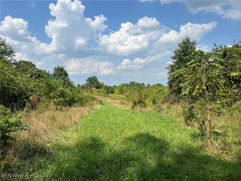 Cates Road Akron, OH 44312 - Photo 17 of 28