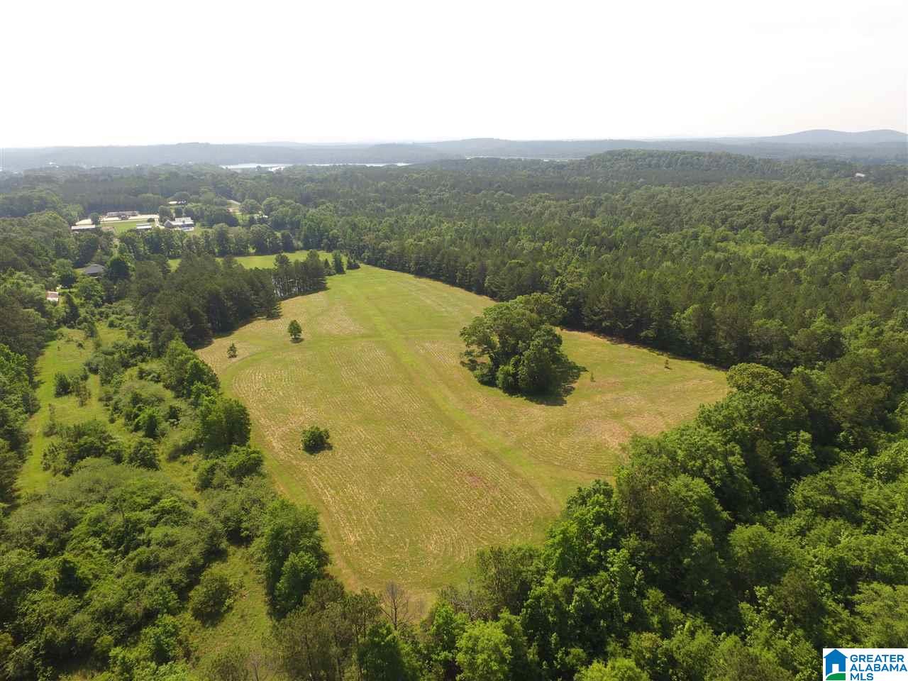 1201 Logan Martin Dam Road Vincent, AL 35178 - Photo 38 of 49