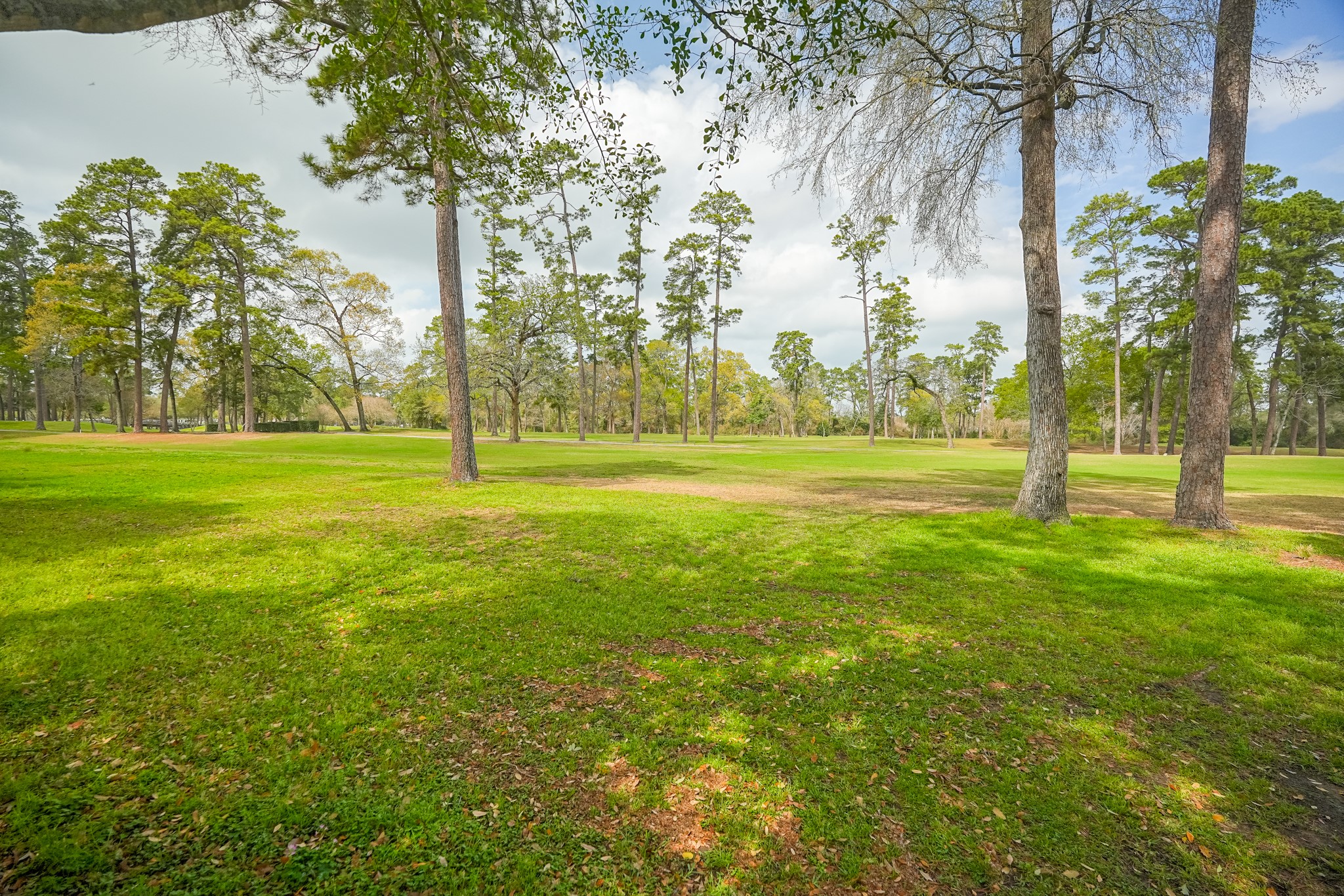 24710 Creekview Drive Spring, TX 77389 - Photo 49 of 50