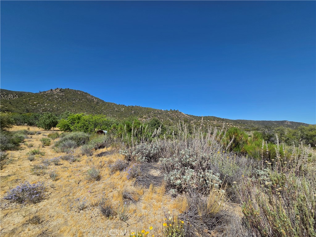 37210 Bohlen Road Anza, CA 92539 - Photo 11 of 22