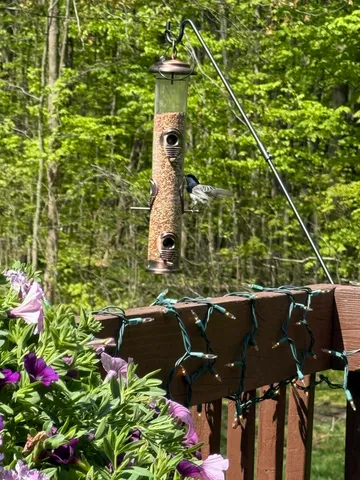 $275,000 | 2885 Hidden View Drive Southeast, Caledonia, MI 49316