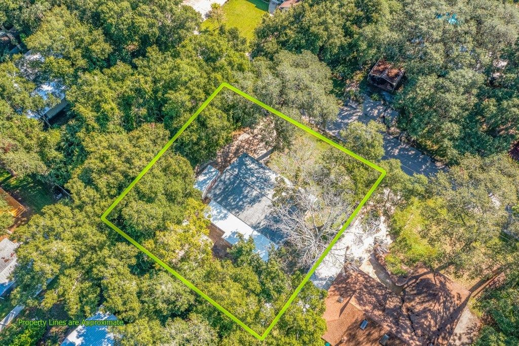 138 Hawthorne Road St. Augustine, FL 32086 - Photo 46 of 46 a view of a forest with a tree