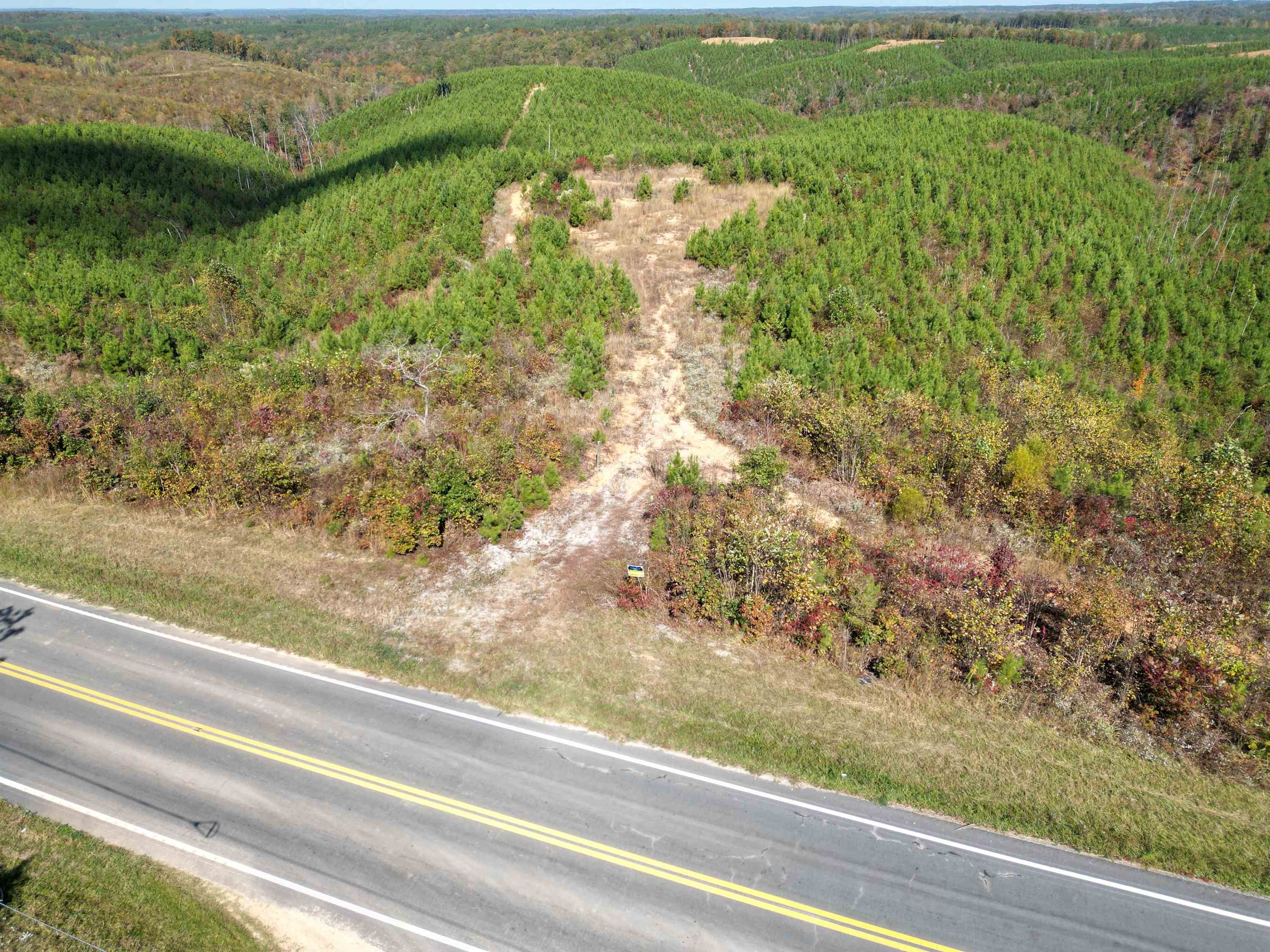 10 Hwy 48 Road Waynesboro, TN 38485 - Photo 12 of 19 Drone / aerial view of a forest