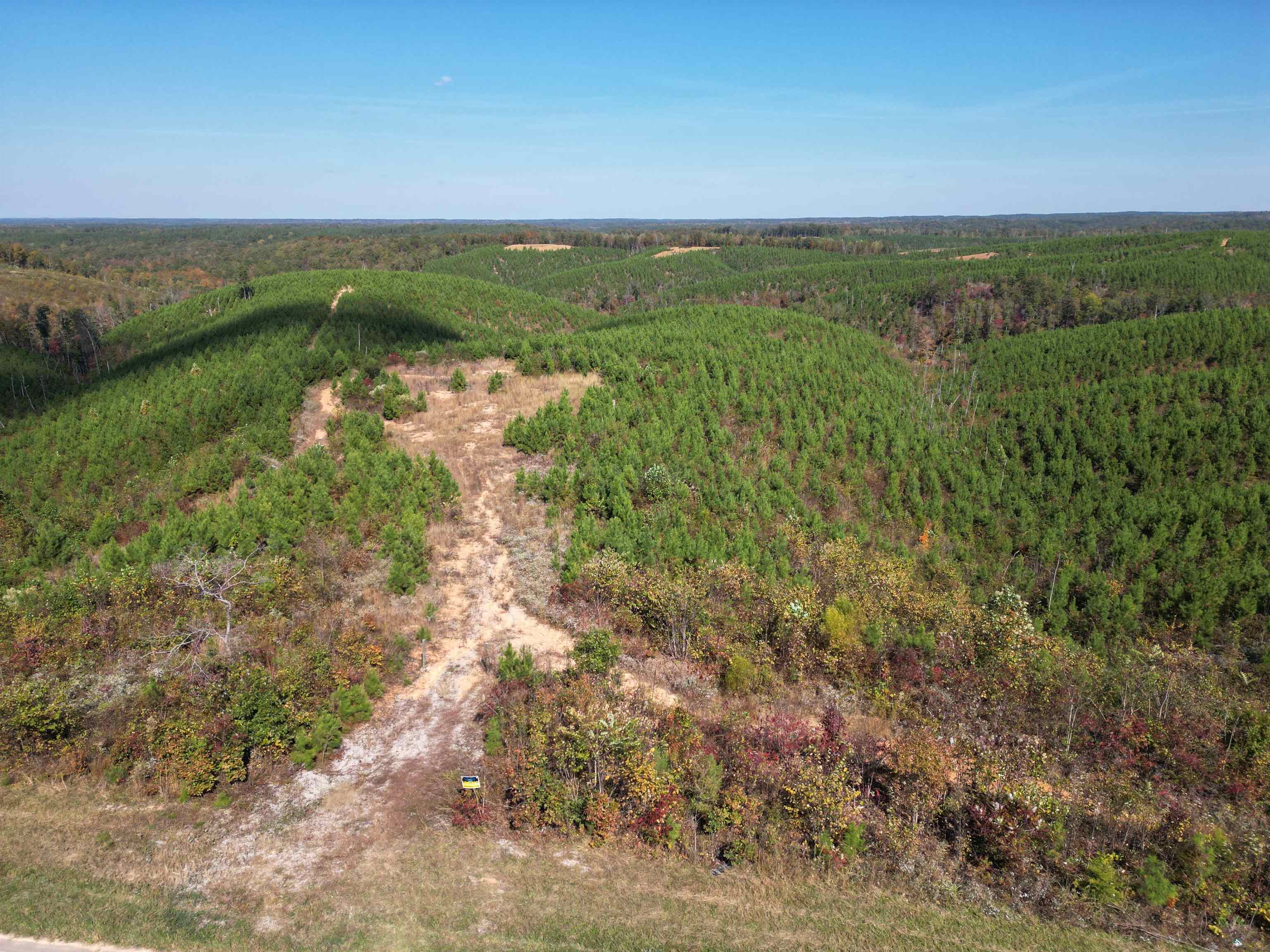 10 Hwy 48 Road Waynesboro, TN 38485 - Photo 13 of 19 Aerial view of a forest