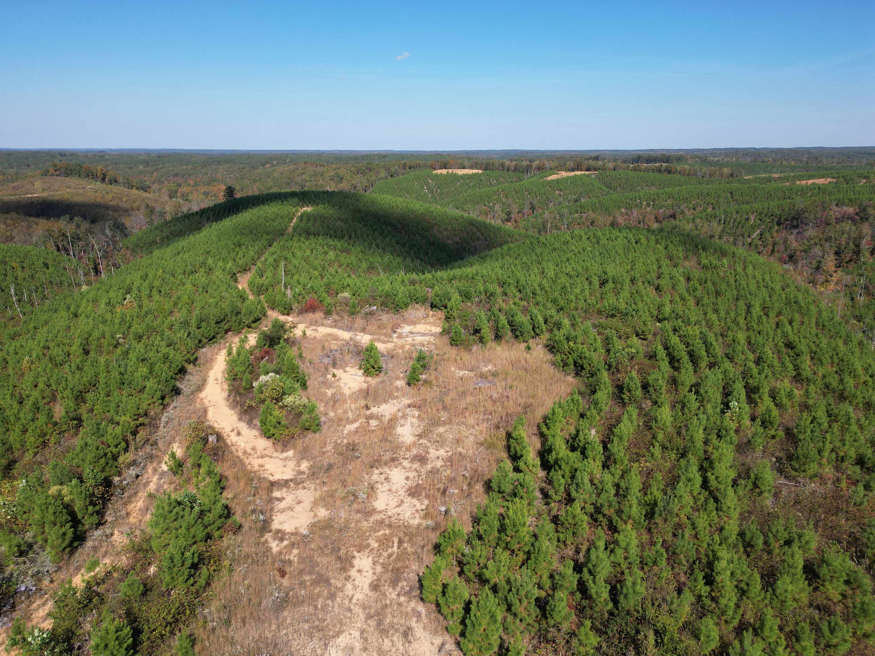 10 Hwy 48 Road Waynesboro, TN 38485 - Photo 14 of 19 Aerial view of property's location with a heavily wooded area