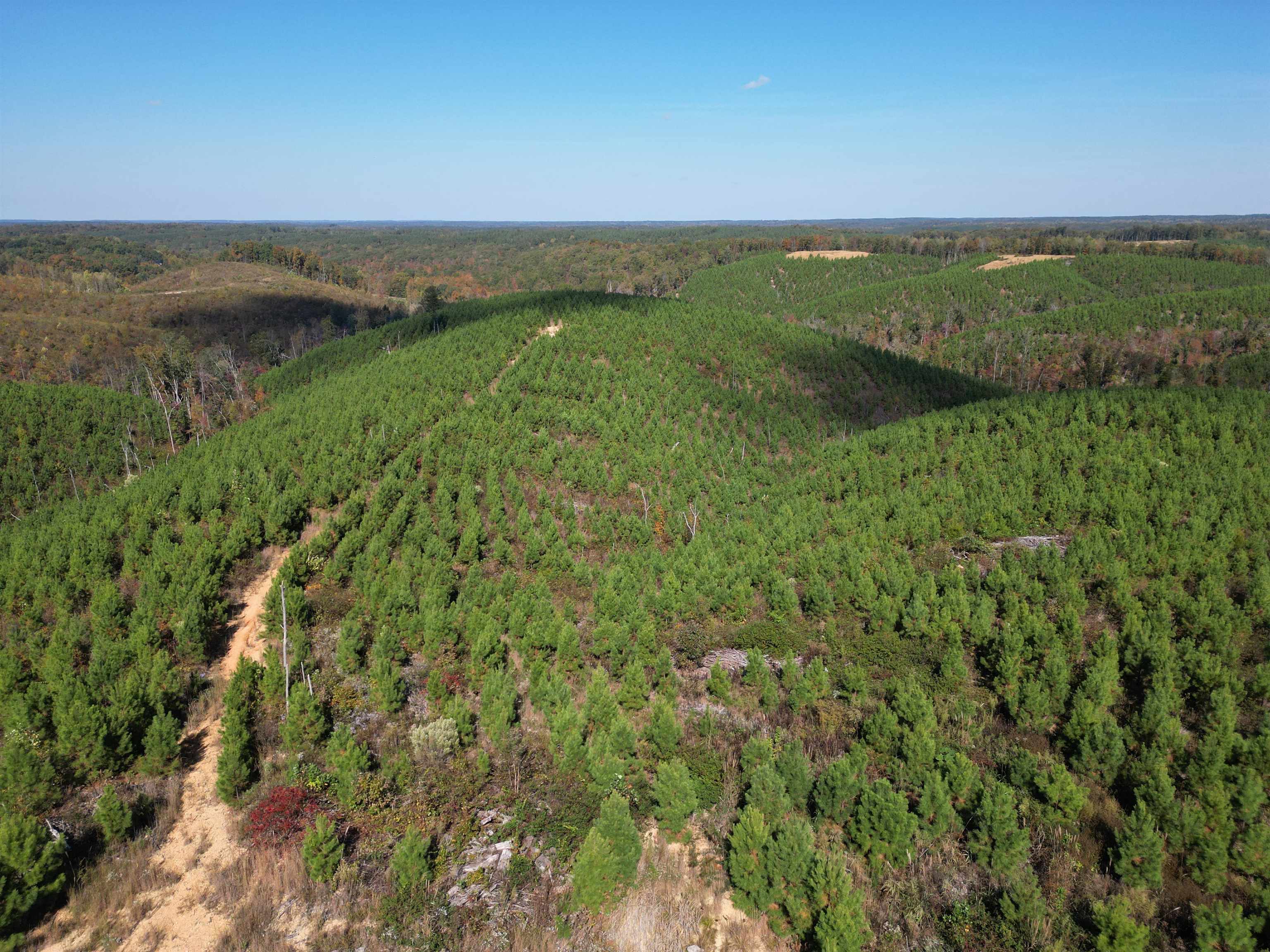 10 Hwy 48 Road Waynesboro, TN 38485 - Photo 15 of 19 Aerial overview of property's location with a heavily wooded area