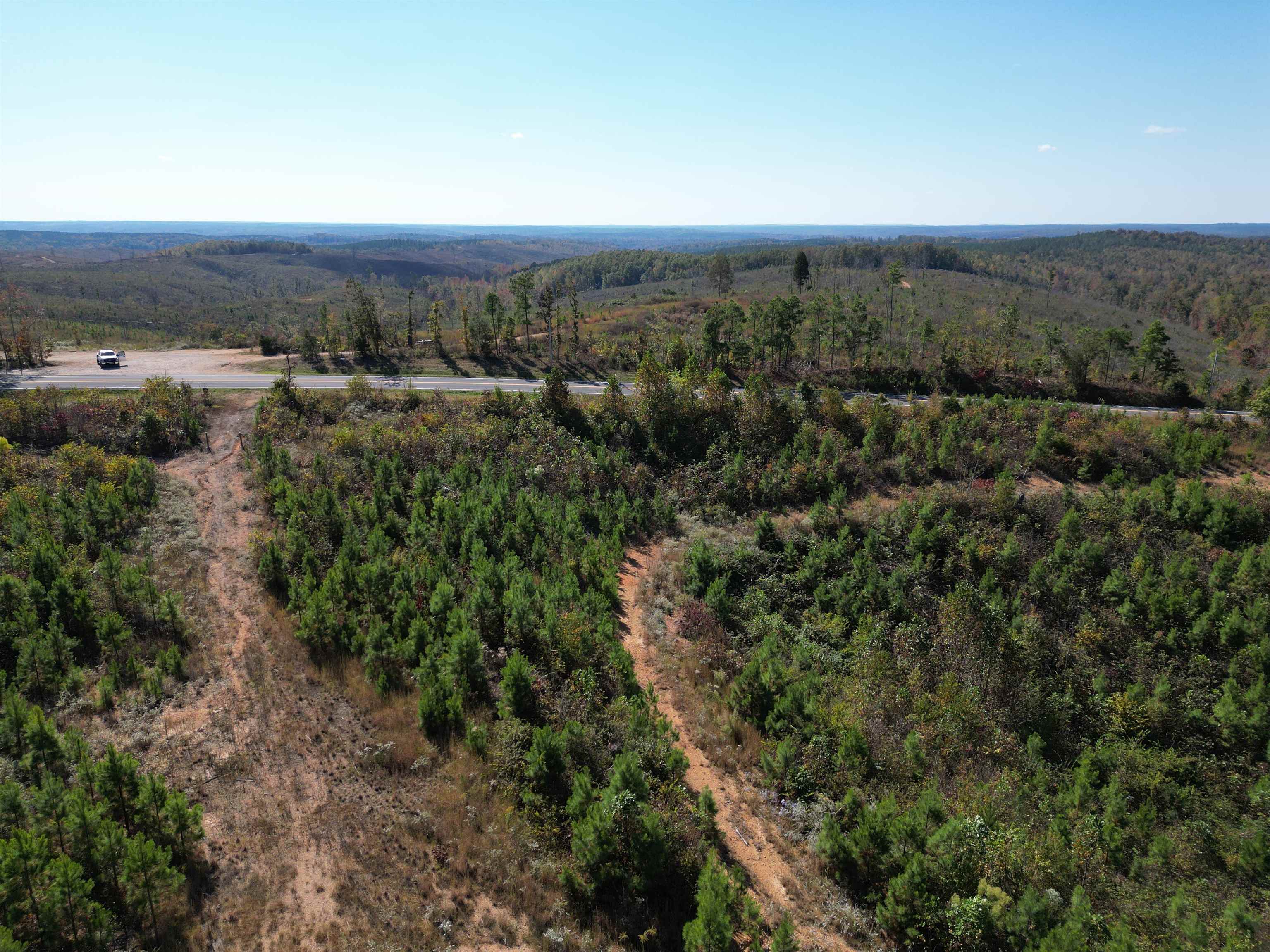 10 Hwy 48 Road Waynesboro, TN 38485 - Photo 16 of 19 View of property location featuring a forest