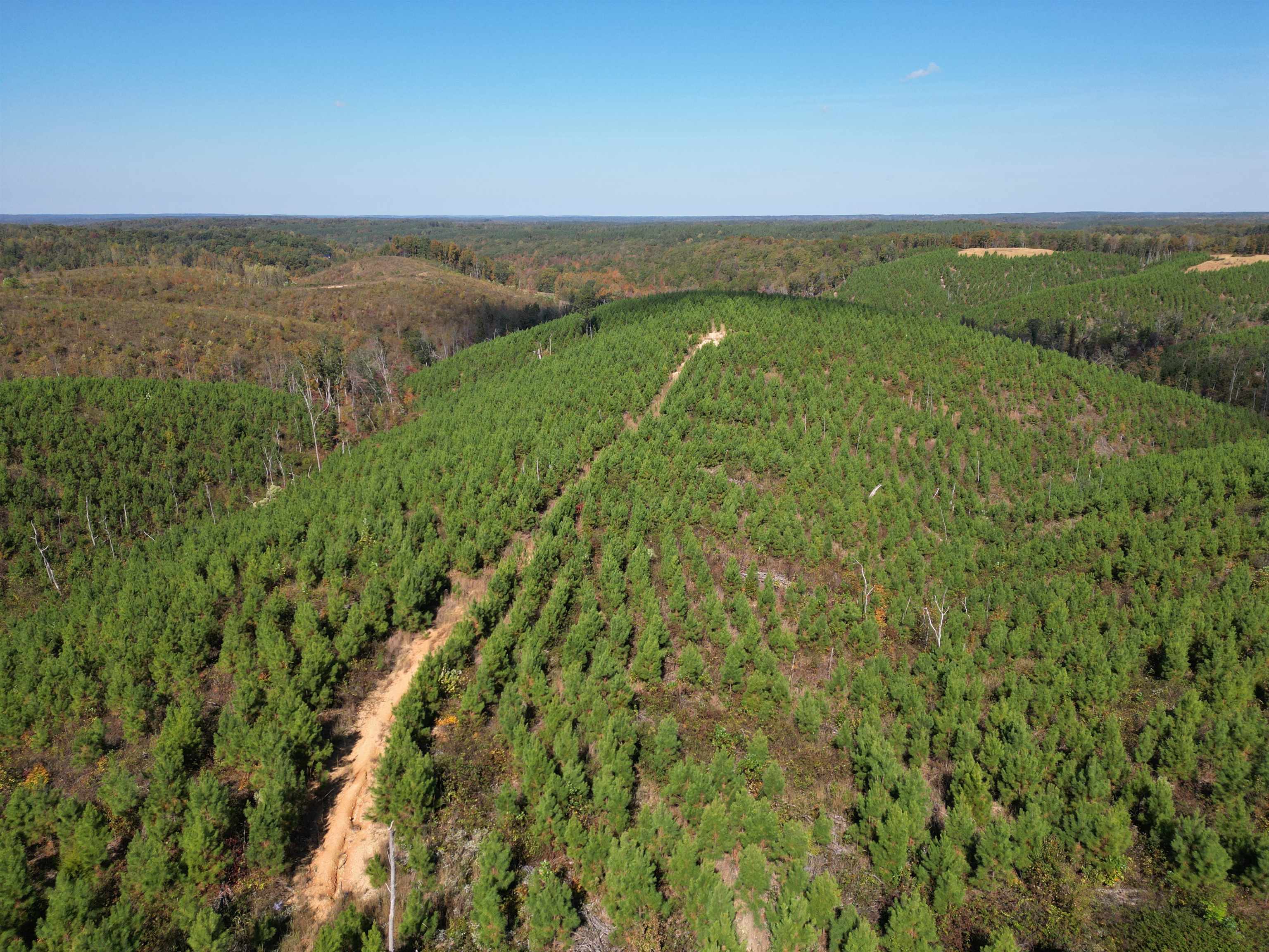 10 Hwy 48 Road Waynesboro, TN 38485 - Photo 17 of 19 View of property location featuring a forest