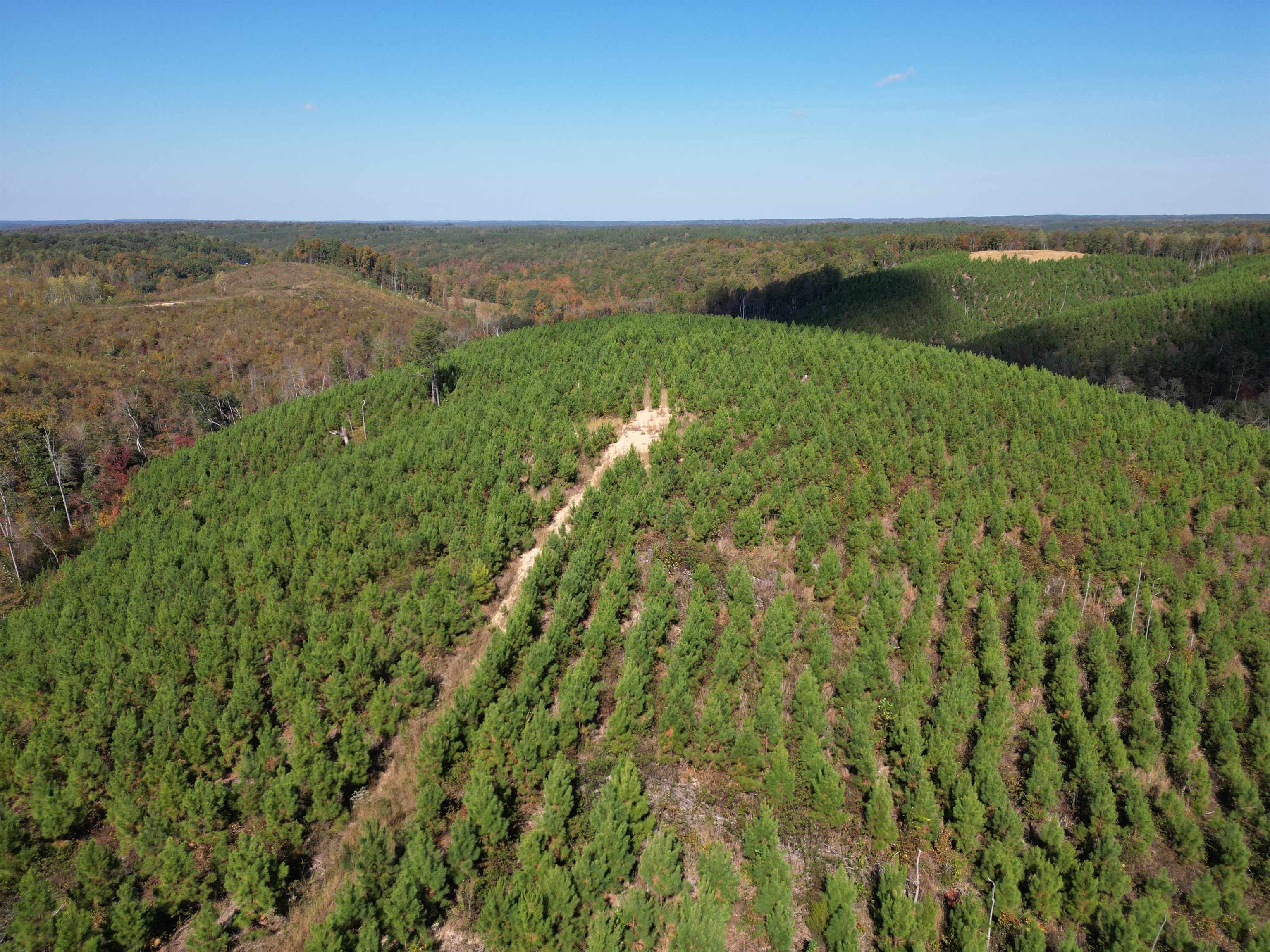 10 Hwy 48 Road Waynesboro, TN 38485 - Photo 18 of 19 View of property location featuring a forest