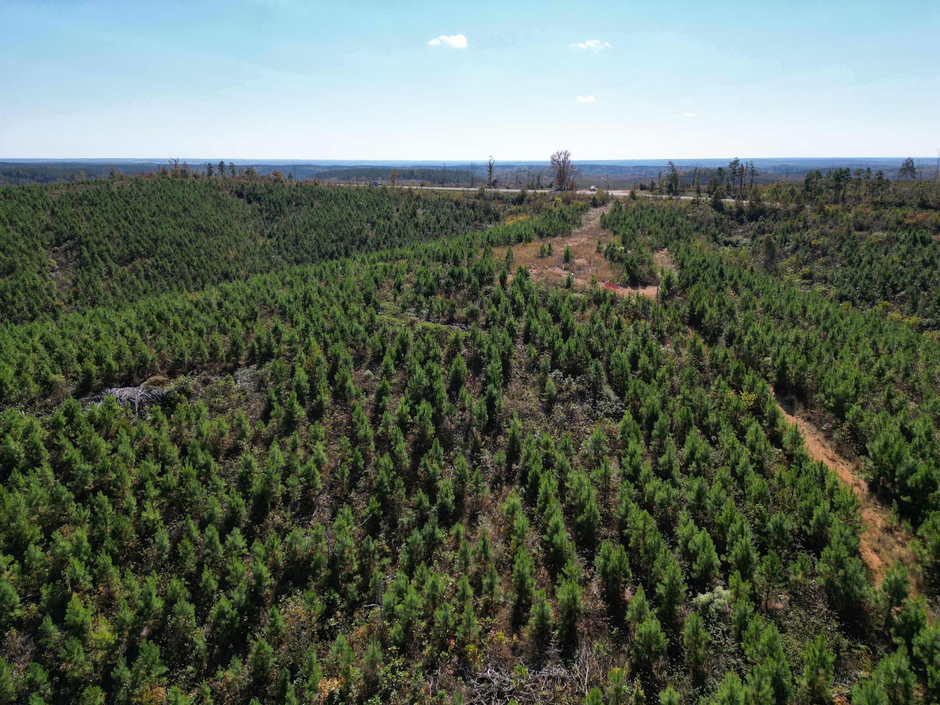 10 Hwy 48 Road Waynesboro, TN 38485 - Photo 19 of 19 Bird's eye view of a forest