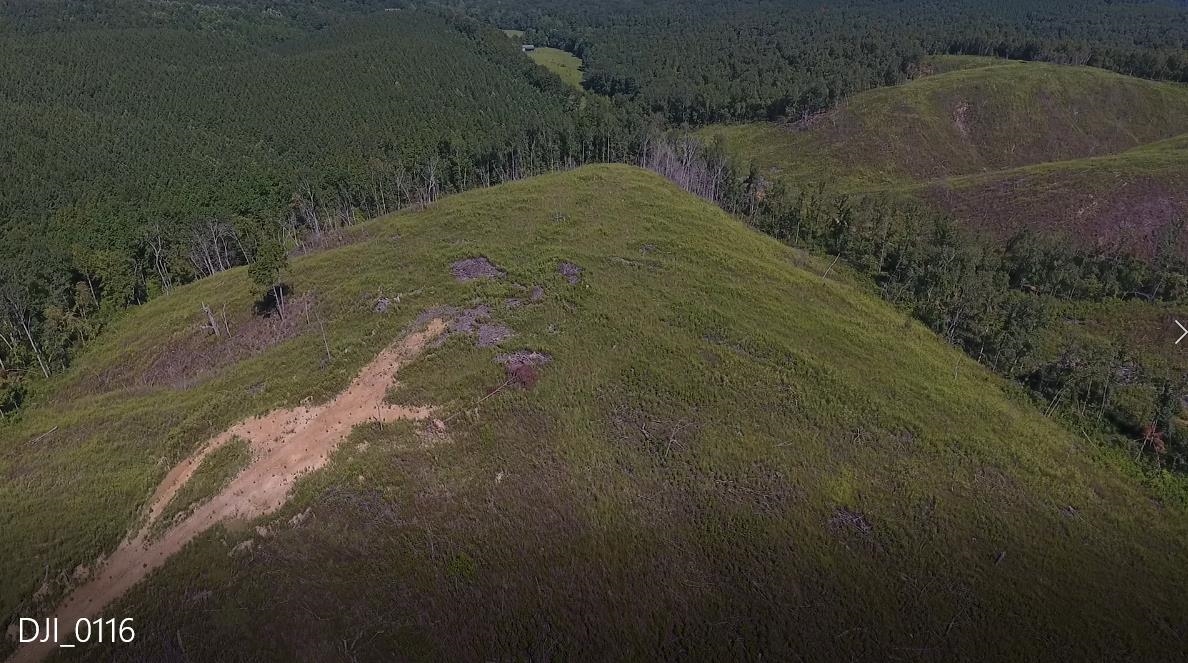 10 Hwy 48 Road Waynesboro, TN 38485 - Photo 7 of 19 Bird's eye view of a heavily wooded area