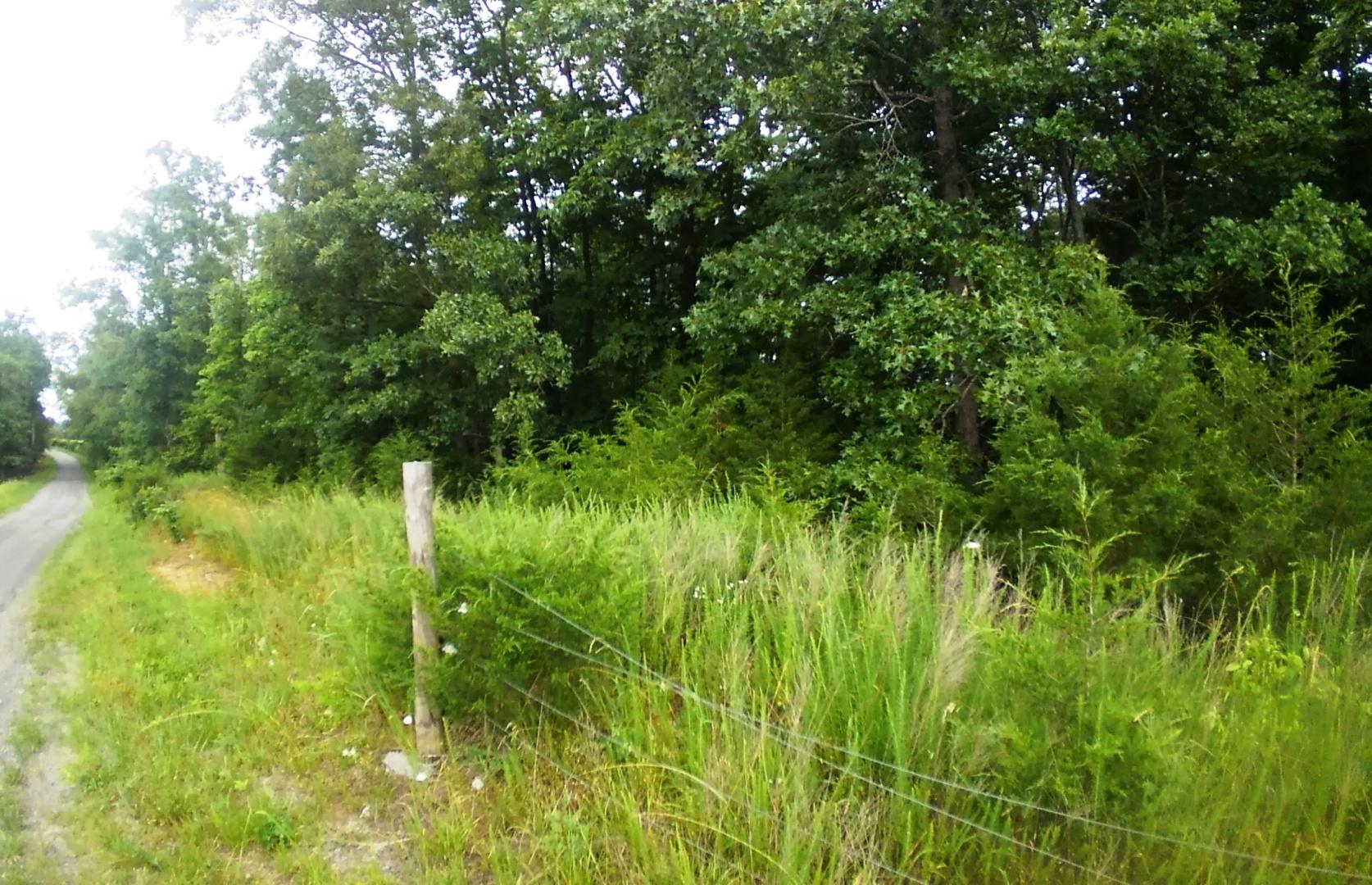 Lot 5 Smelcer Road, Unit 5 Mohawk, TN 37810 - Photo 3 of 3 New Smelcer Rd 7c