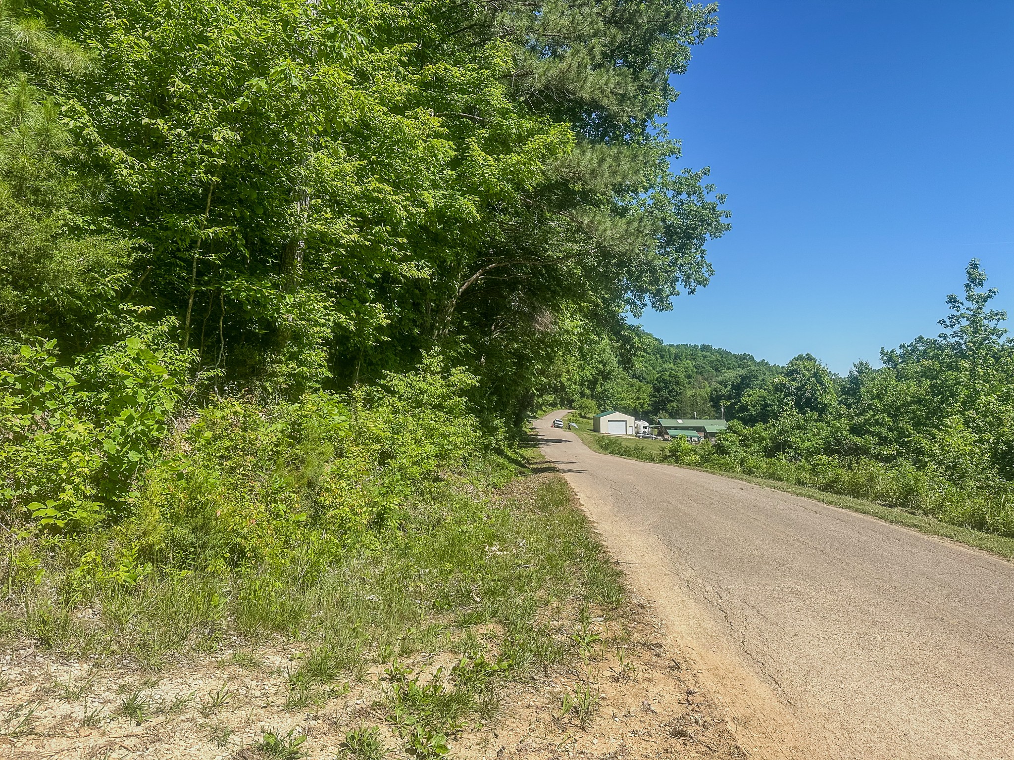 0 Mayberry Prong Road Linden, TN 37096 - Photo 15 of 24