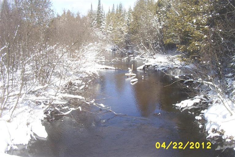 21754 22 Mile Road Tustin, MI 49688 - Photo 1 of 1 Primary Photo
