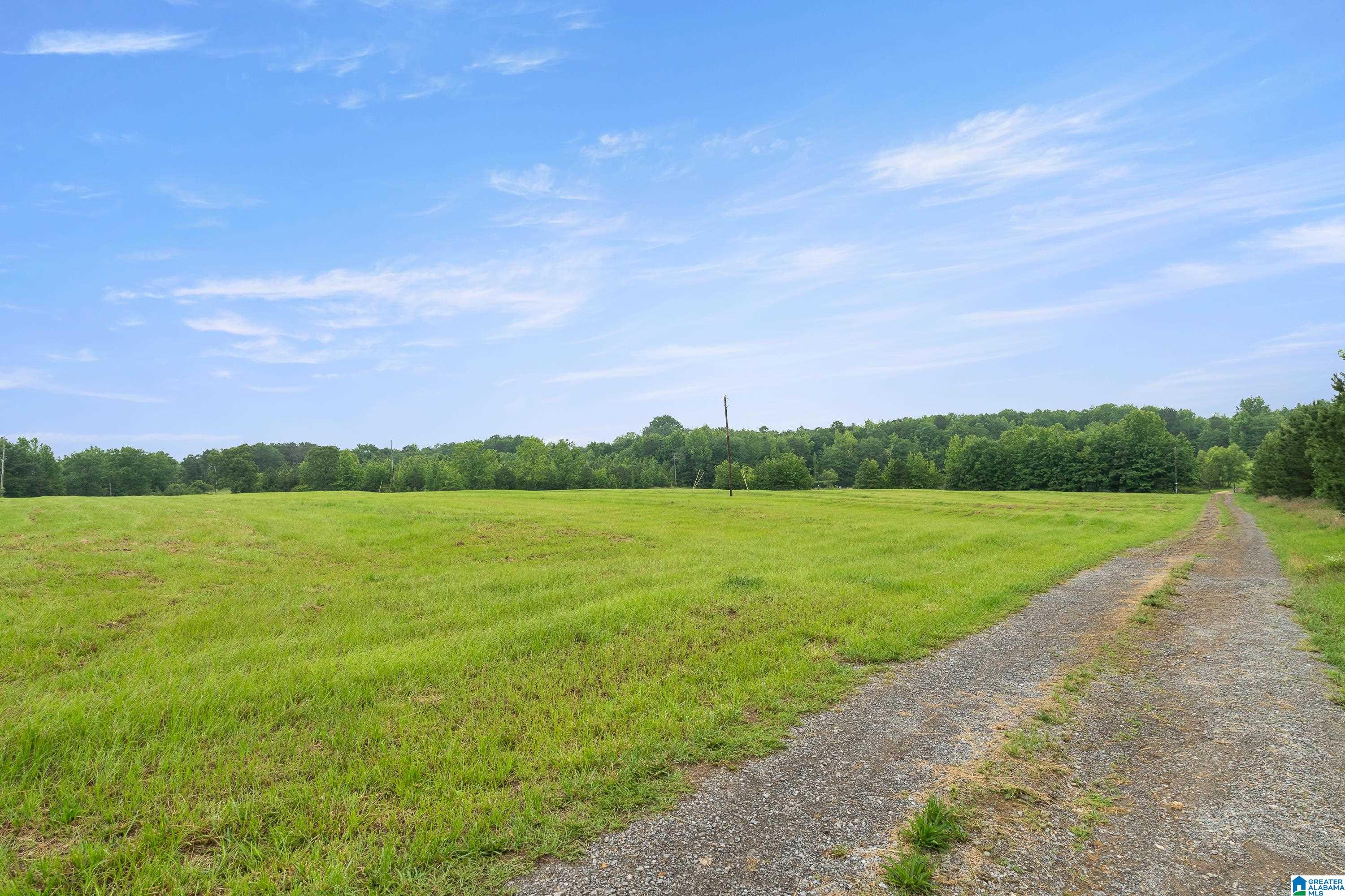 1484 Jones Chapel Loop, Unit 1484 Springville, AL 35146 - Photo 9 of 27