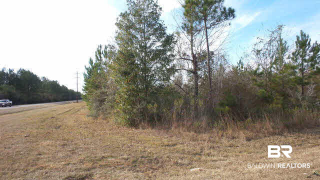 22 Ard Field Road Jay, FL 32565 - Photo 9 of 30