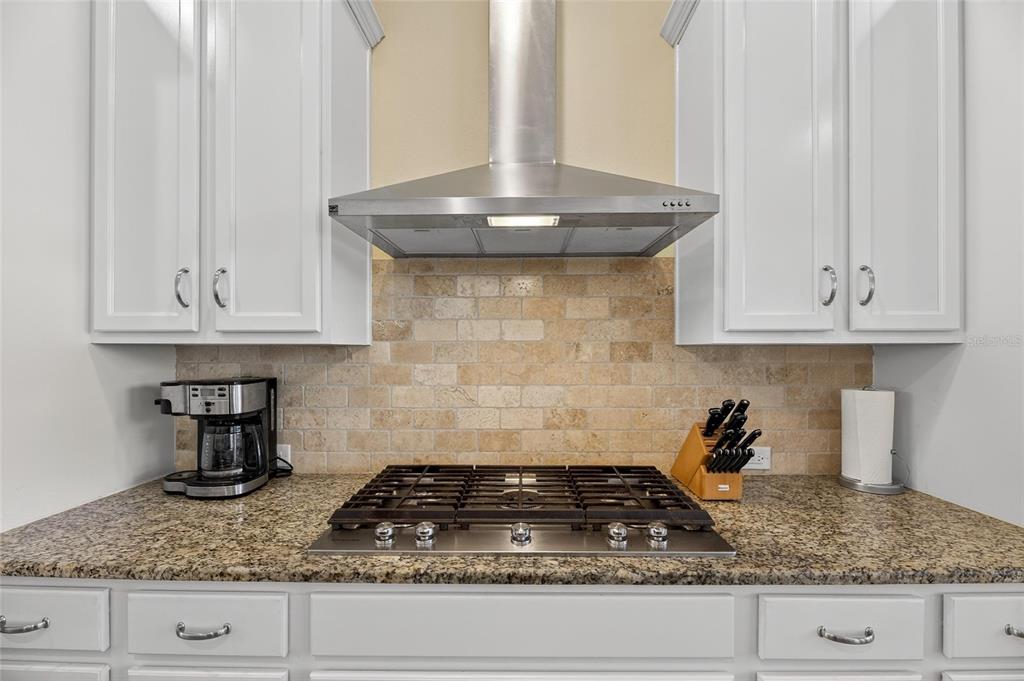 6903 Crestpoint Drive Apollo Beach, FL 33572 - Photo 42 of 95