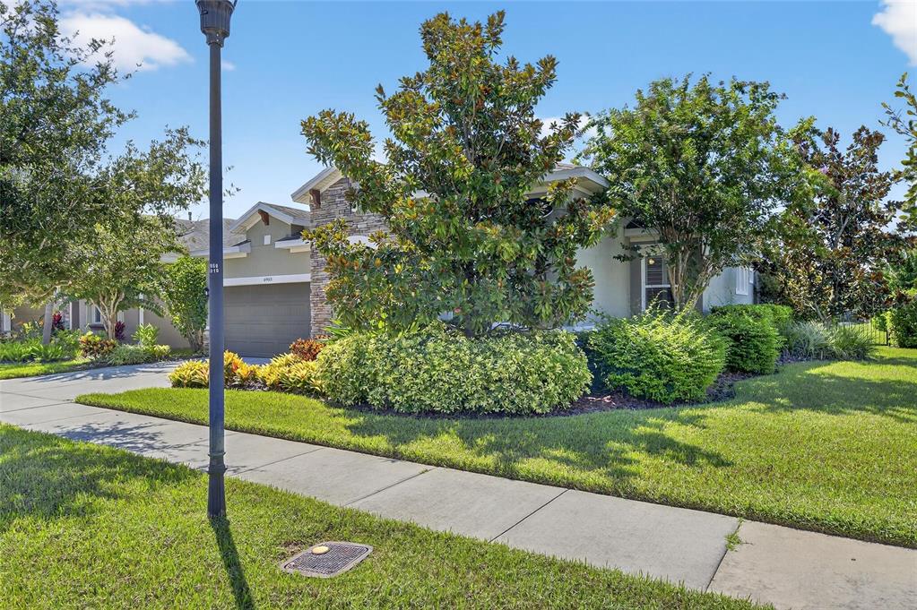 6903 Crestpoint Drive Apollo Beach, FL 33572 - Photo 6 of 95 a view of a garden with a tree