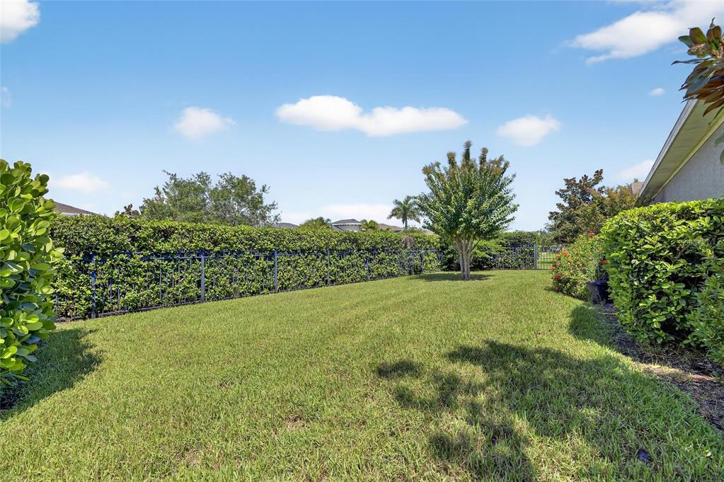 6903 Crestpoint Drive Apollo Beach, FL 33572 - Photo 63 of 95 a view of a big yard with a large tree and plants