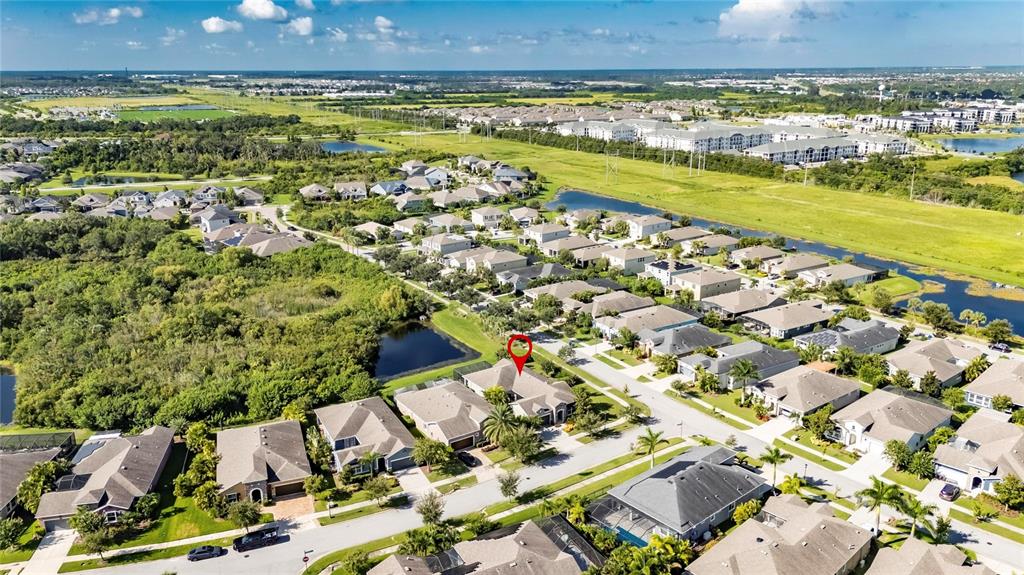 6903 Crestpoint Drive Apollo Beach, FL 33572 - Photo 75 of 95