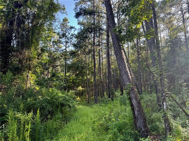 3 Ward Line Road Bogalusa, LA 70427 - Photo 8 of 12