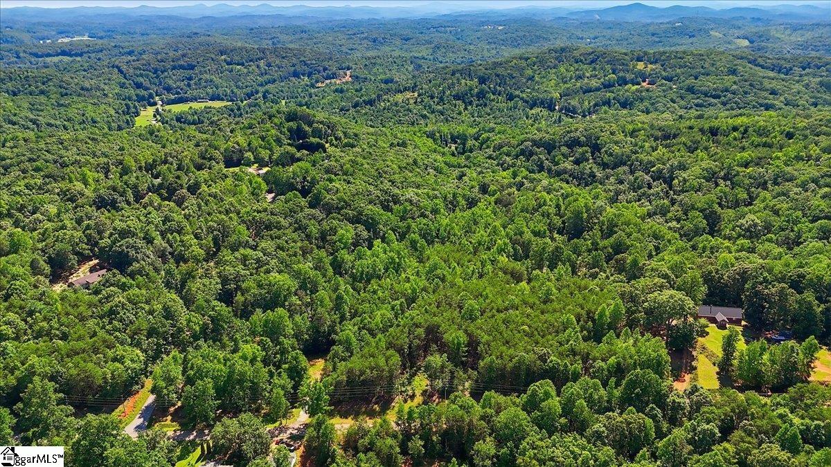 883 Goodwin Bridge Road Travelers Rest, SC 29690 - Photo 9 of 12