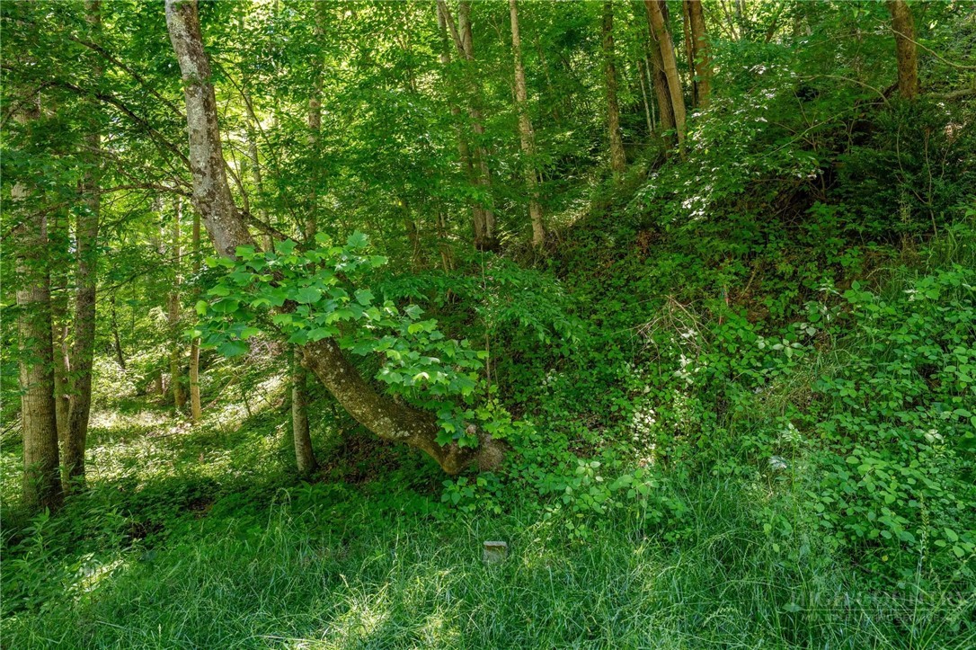 Smith Street Vilas, NC 28692 - Photo 2 of 36