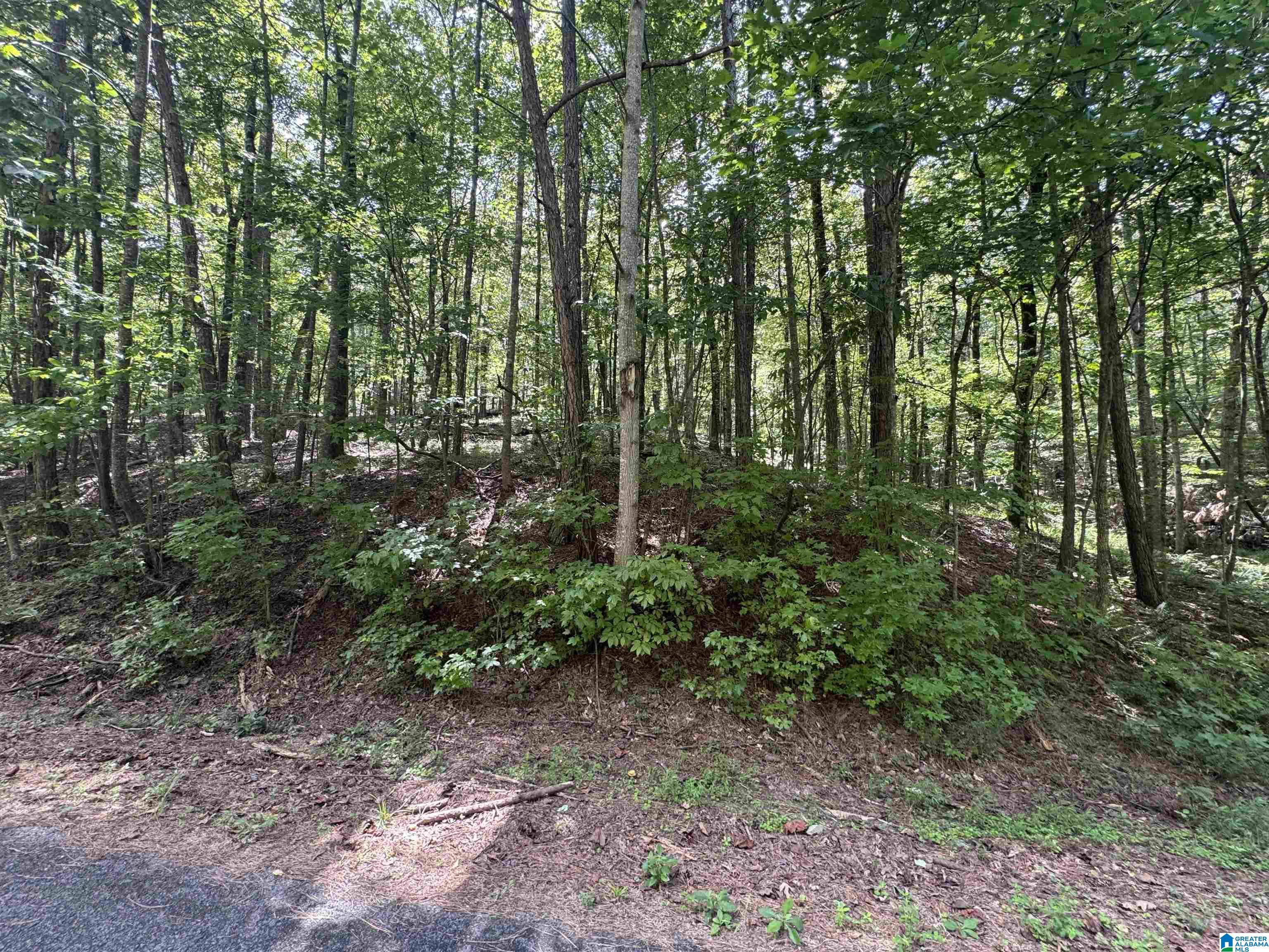85 Mohawk Court, Unit 22 Ohatchee, AL 36271 - Photo 36 of 37