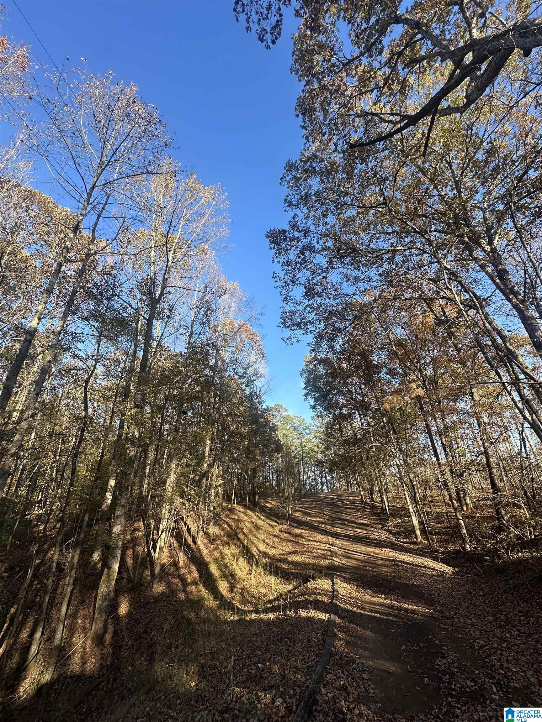526 County Road 125 Heflin, AL 36264 - Photo 77 of 83