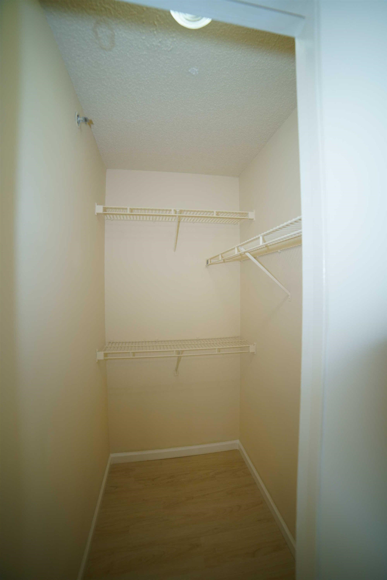 1431 Collegiate Circle, Unit 301 Raleigh, NC 27606 - Photo 21 of 31 Photo 21