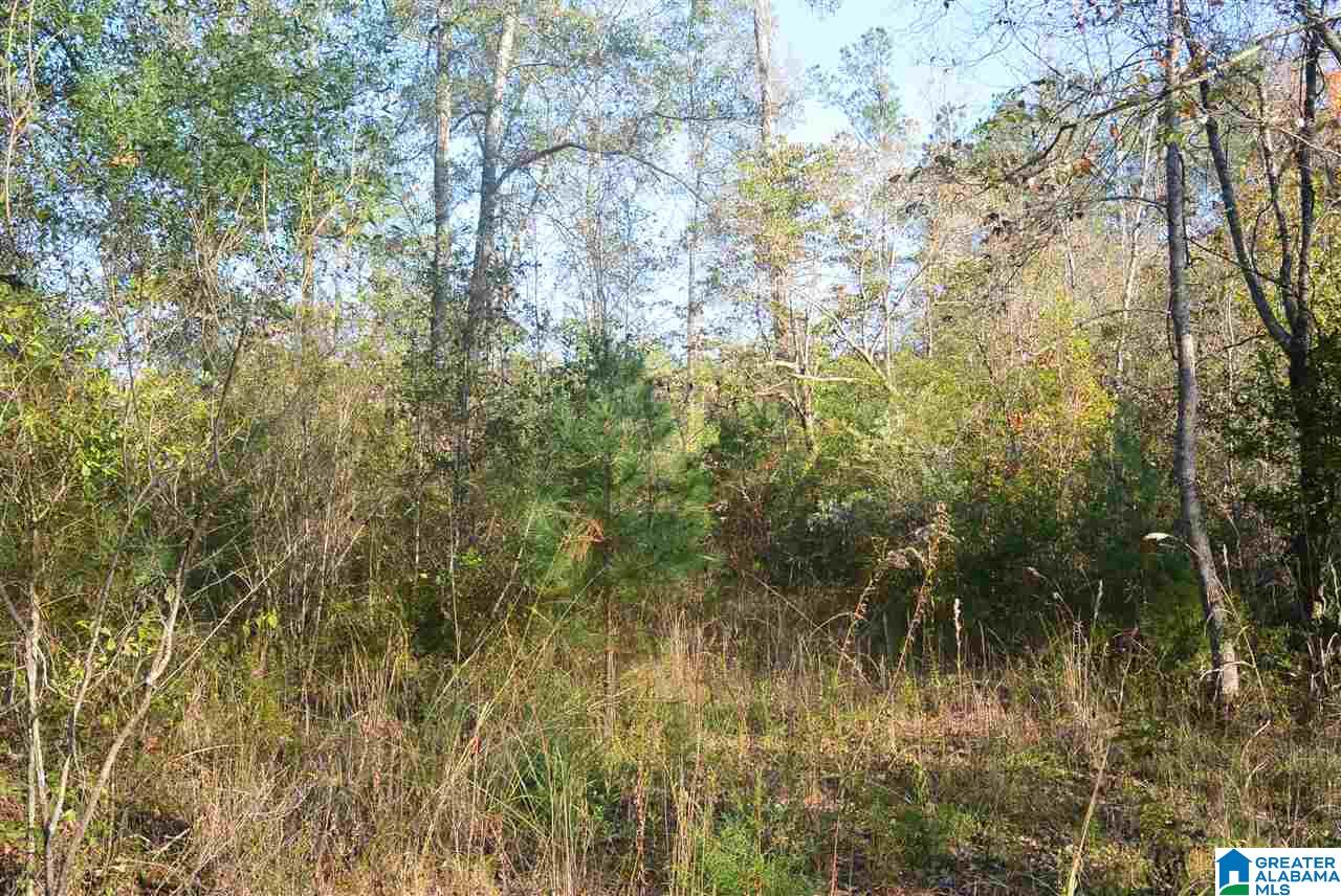 2238 Bear Creek Road Brent, AL 35034 - Photo 32 of 34