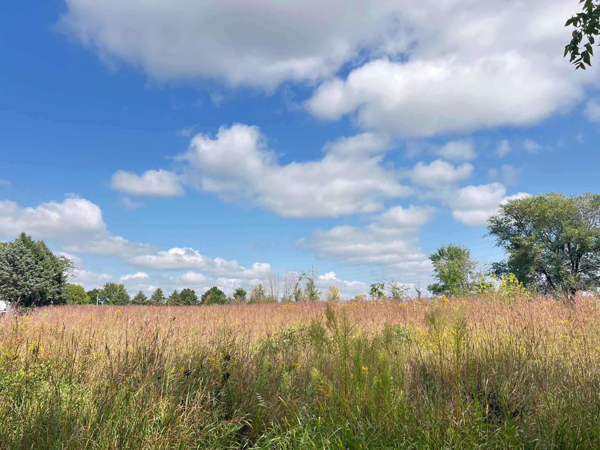 505 East Farmer Street Spring Valley, MN 55975 - Photo 13 of 16