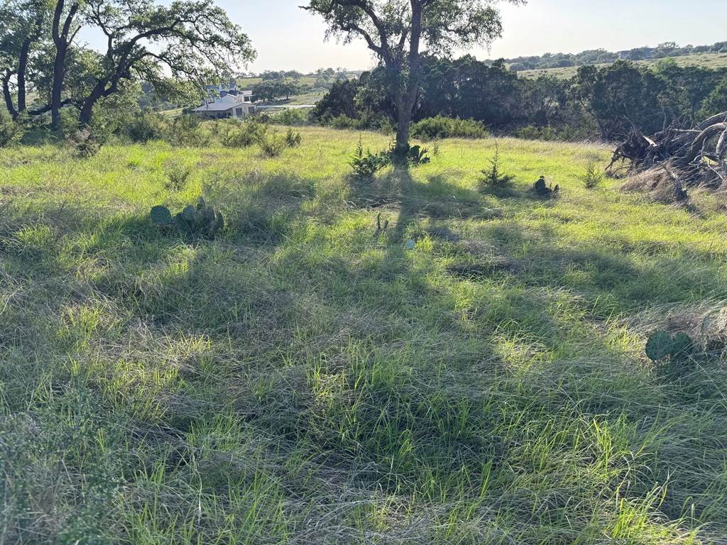 114 Patterson Rdg Drive, Unit 114 Kerrville, TX 78028 - Photo 2 of 9 a view of yard with green space and mountain view