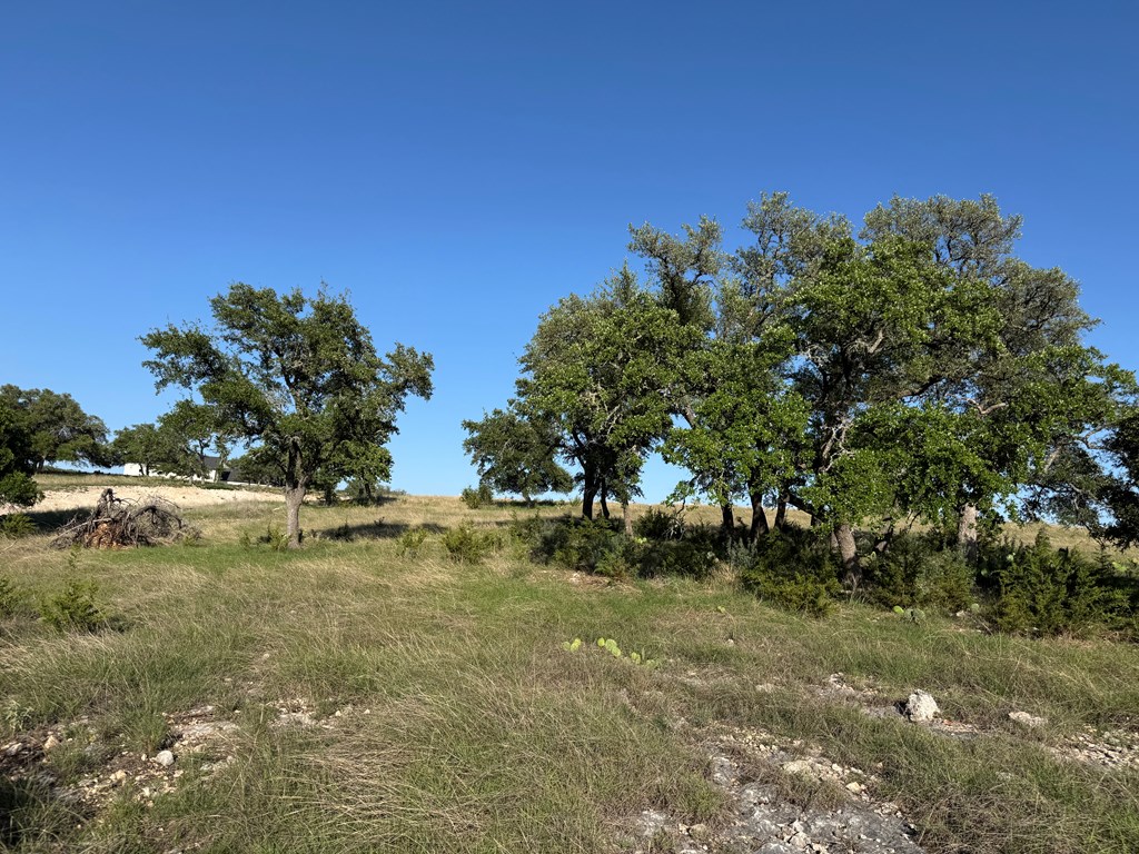 114 Patterson Rdg Drive, Unit 114 Kerrville, TX 78028 - Photo 3 of 9 a view of a yard with a tree