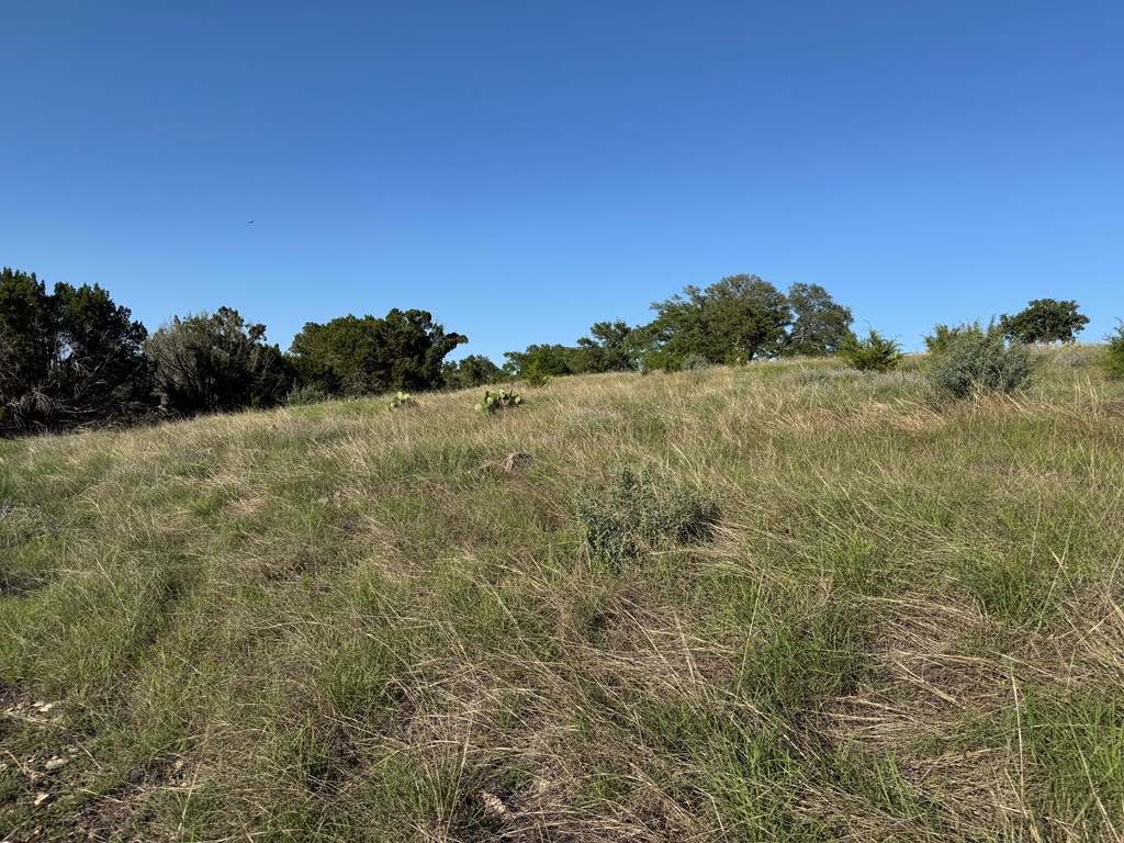 114 Patterson Rdg Drive, Unit 114 Kerrville, TX 78028 - Photo 6 of 9 a view of a field with a tree in the background