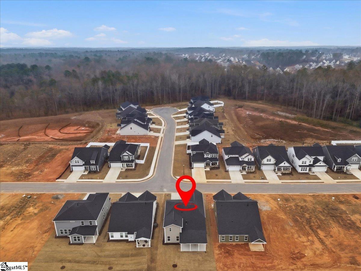 219 Moorish Circle Fountain Inn, SC 29644 - Photo 31 of 33