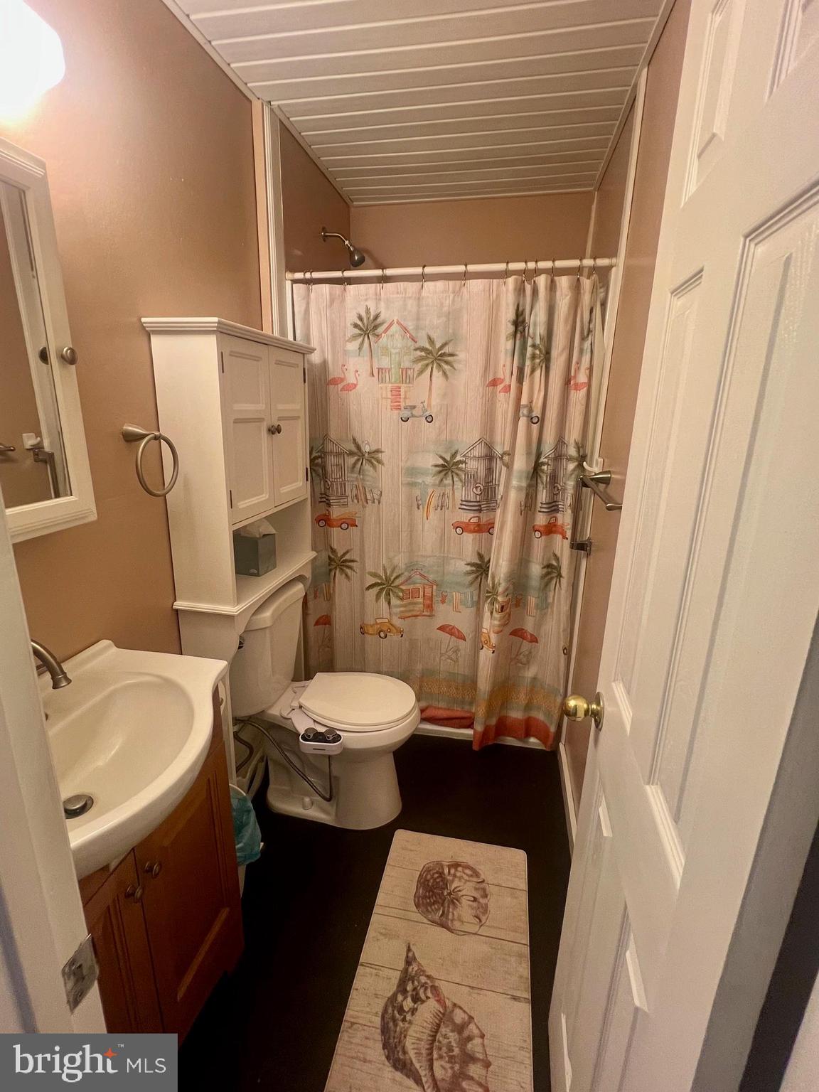 60 Nottingham Lane Berlin, MD 21811 - Photo 14 of 38 a bathroom with a sink and toilet