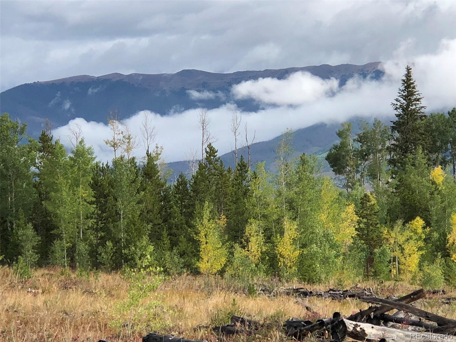 2510 Ryan Gulch Road, Unit 2512 Silverthorne, CO 80498 - Photo 34 of 41 a view of a lake in middle of the forest