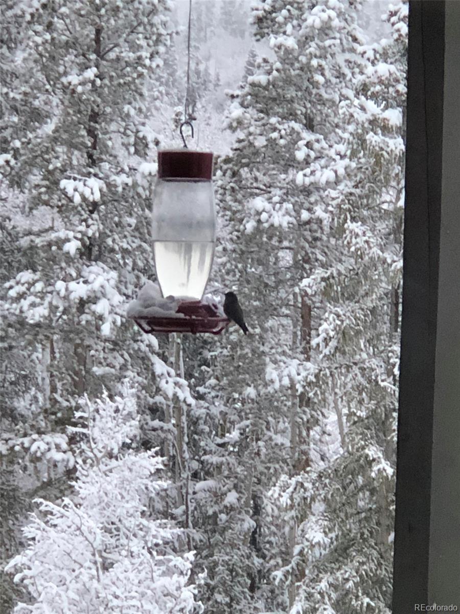 2510 Ryan Gulch Road, Unit 2512 Silverthorne, CO 80498 - Photo 38 of 41 a view of a yard