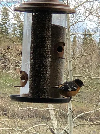 $649,900 | 2510 Ryan Gulch Road, Unit 2512, Silverthorne, CO 80498