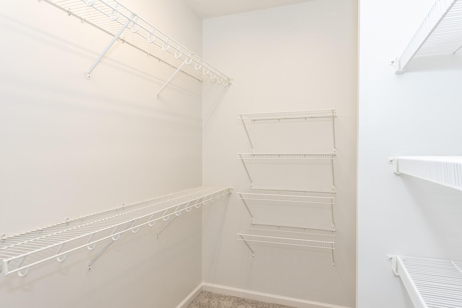 116 Devanshire Court Oak Ridge, TN 37830 - Photo 19 of 30 a view of a closet