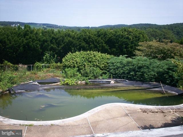 909 Lucabaugh Mill Road Westminster, MD 21157 - Photo 20 of 30 Pool 2