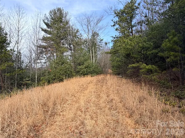 a view of a lake with a yard