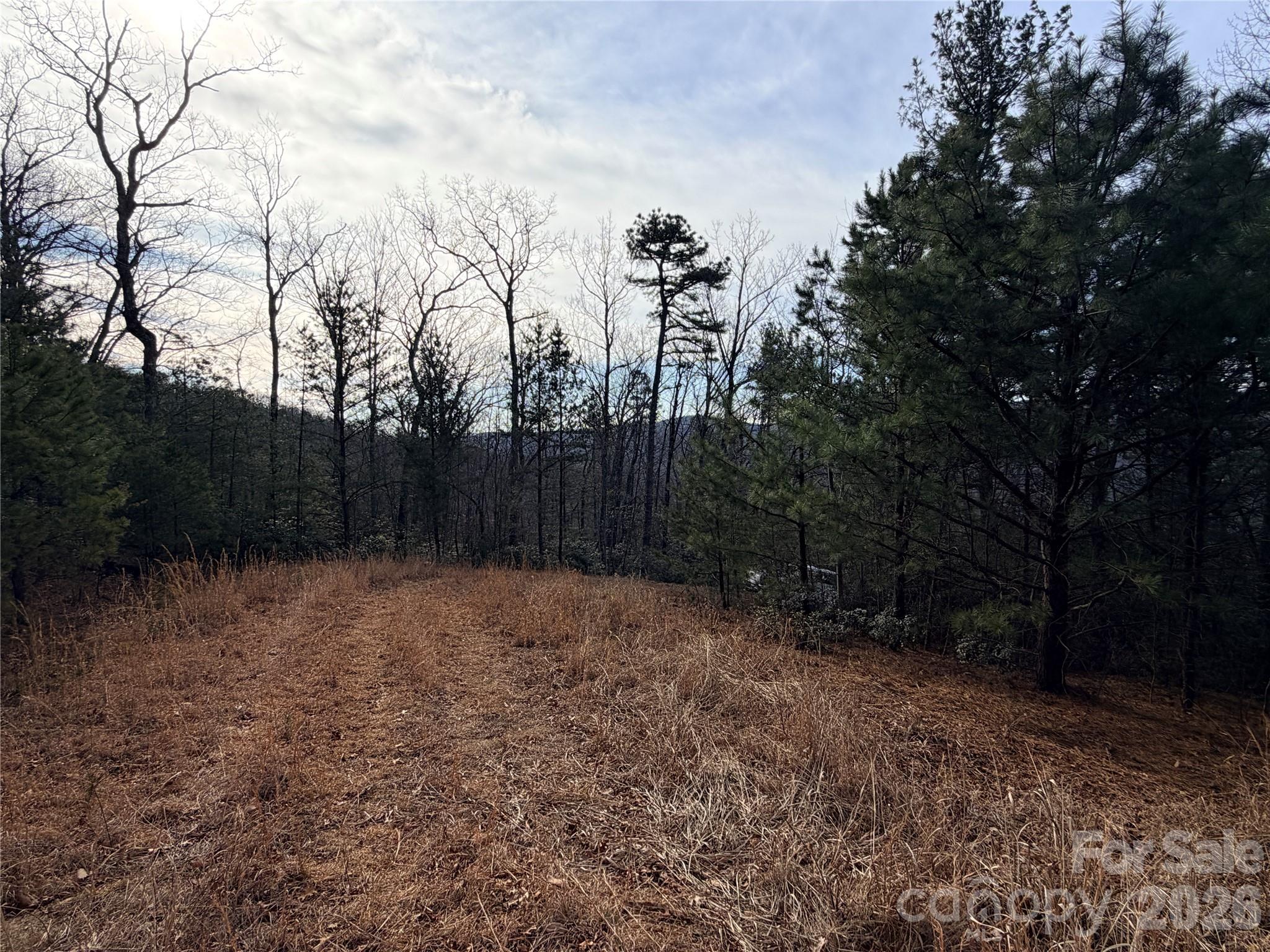 Tbd Maple Valley Lane, Unit 207 & 220 Purlear, NC 28665 - Photo 12 of 43 a view of backyard with green space