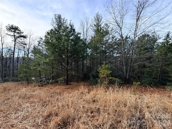a view of outdoor space and trees