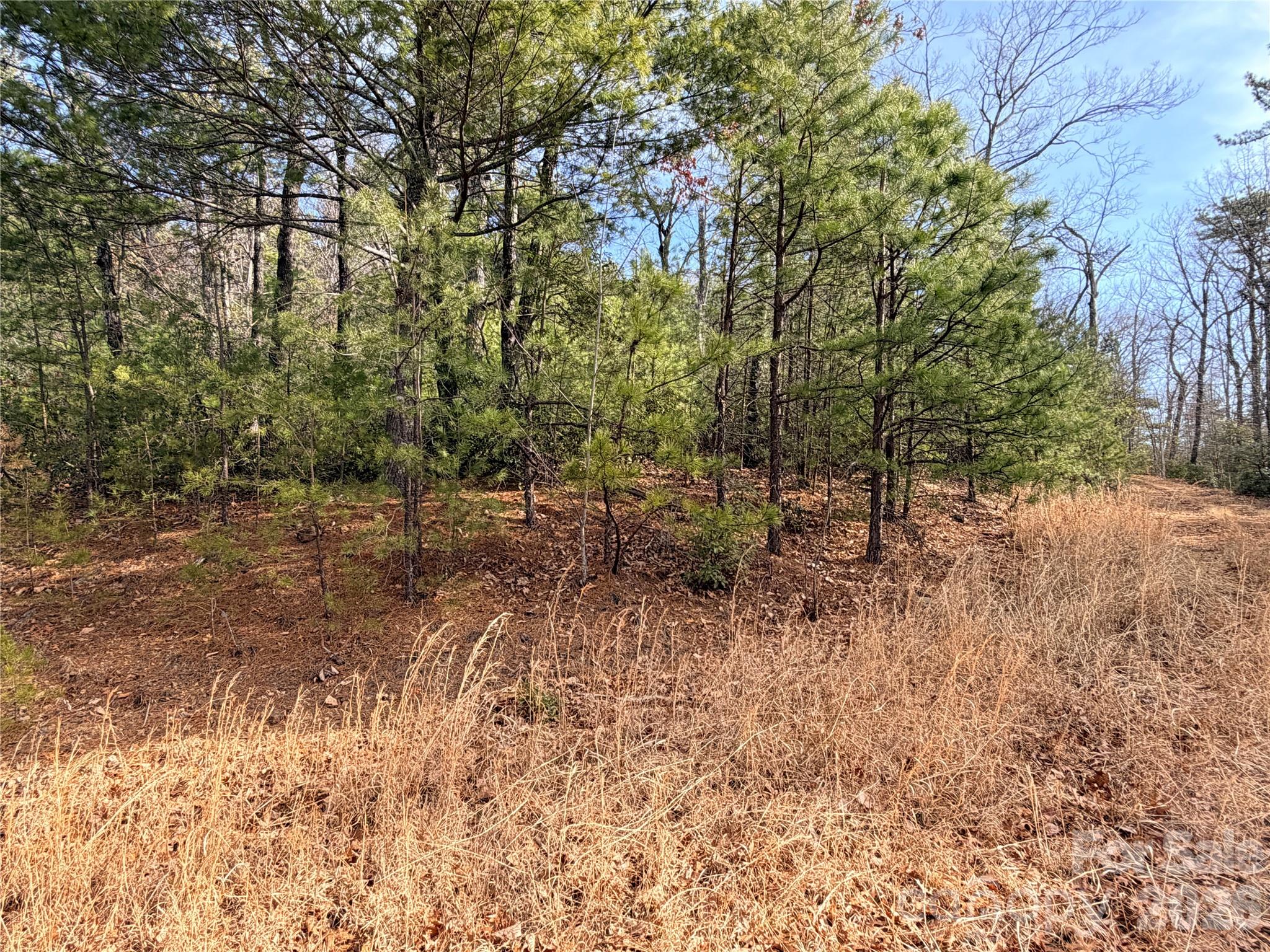 Tbd Maple Valley Lane, Unit 207 & 220 Purlear, NC 28665 - Photo 16 of 43 a view of backyard with green space