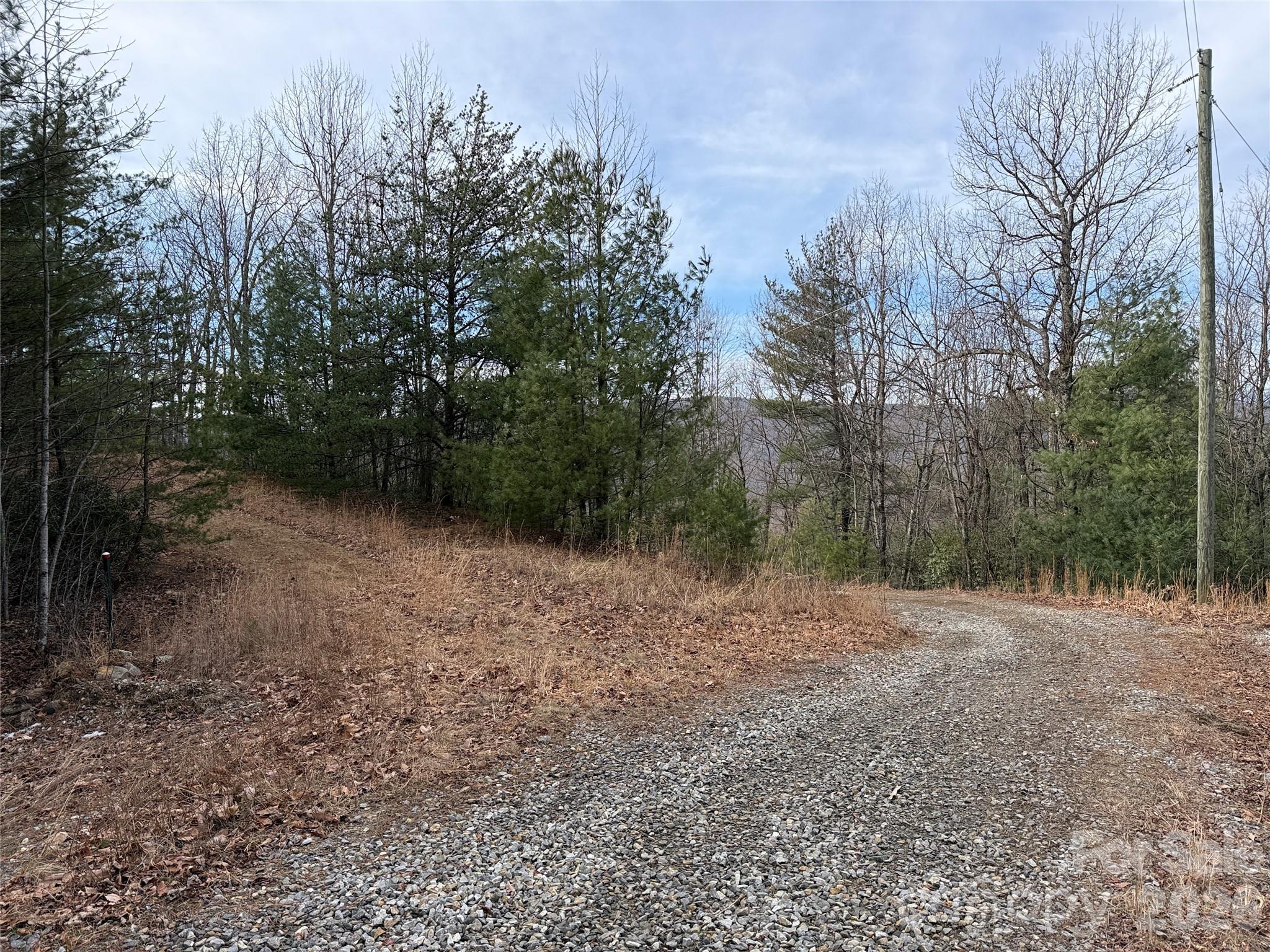Tbd Maple Valley Lane, Unit 207 & 220 Purlear, NC 28665 - Photo 18 of 43 a view of dirt with trees in the background