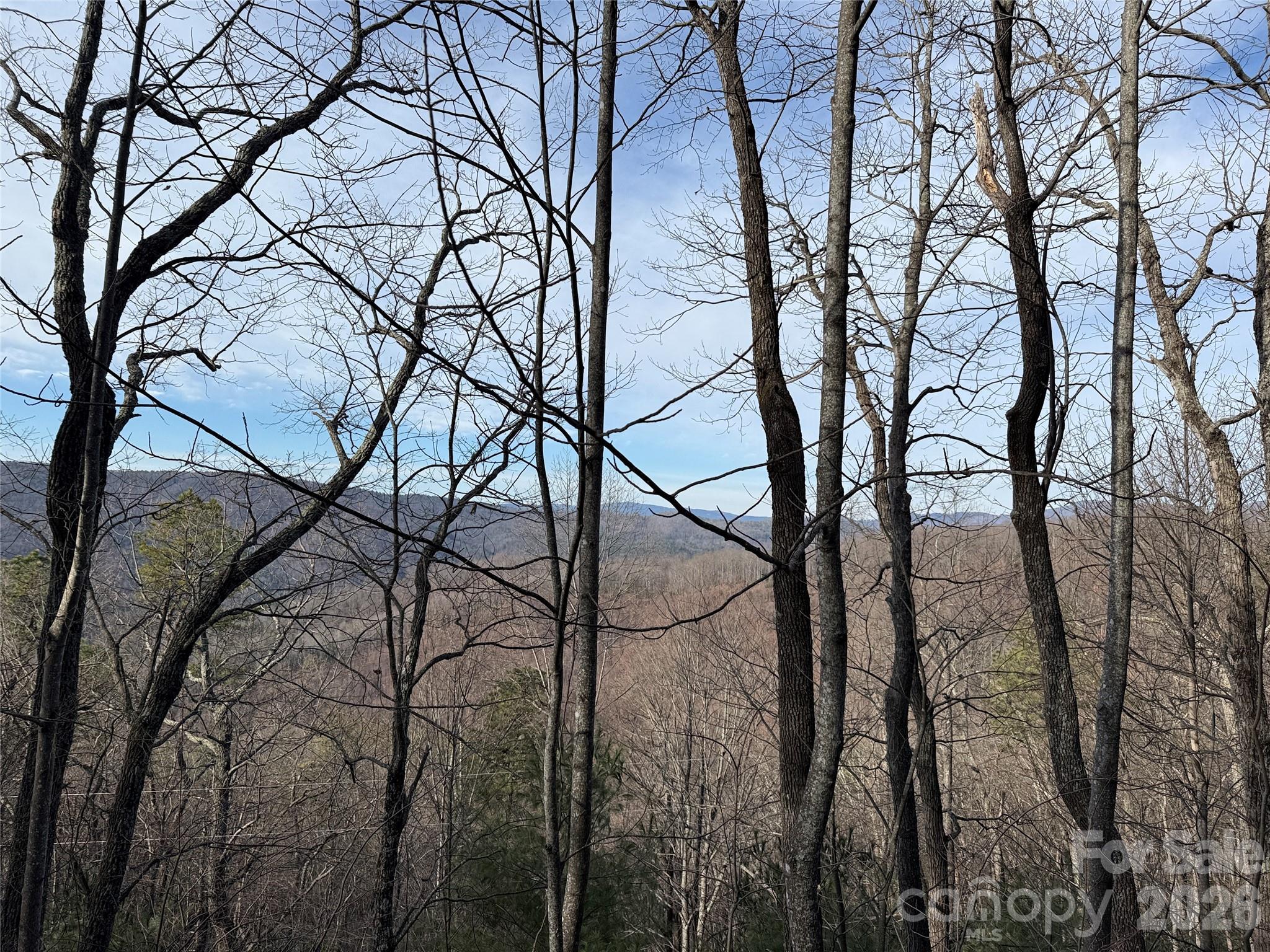 Tbd Maple Valley Lane, Unit 207 & 220 Purlear, NC 28665 - Photo 20 of 43 a view of a yard with a tree