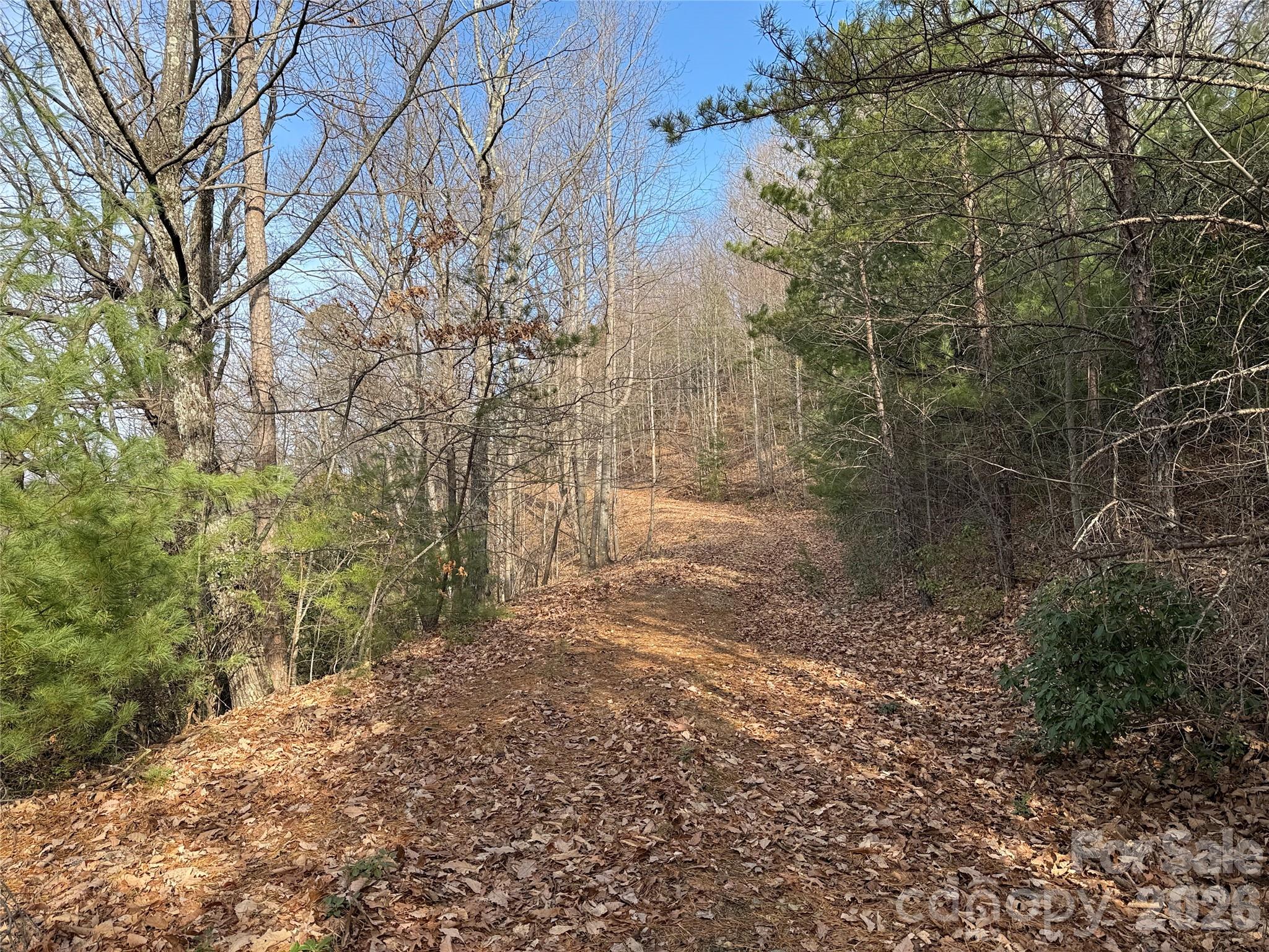 Tbd Maple Valley Lane, Unit 207 & 220 Purlear, NC 28665 - Photo 2 of 43 a view of a yard with trees and bushes