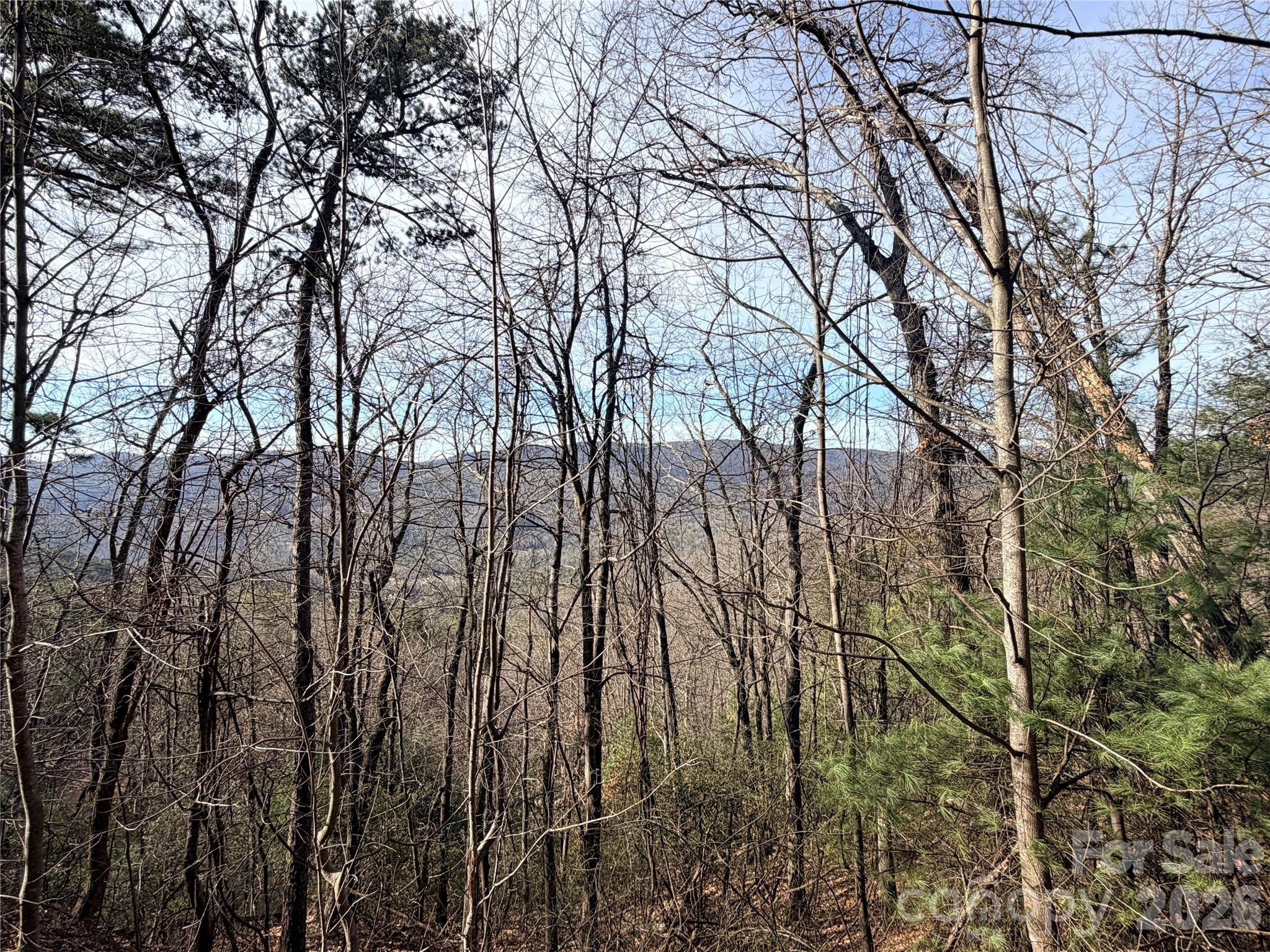 Tbd Maple Valley Lane, Unit 207 & 220 Purlear, NC 28665 - Photo 3 of 43 a backyard of a house with lots of green space